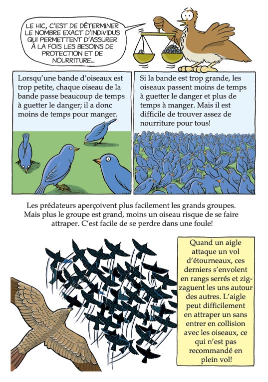 Pas bête du tout! Page 52