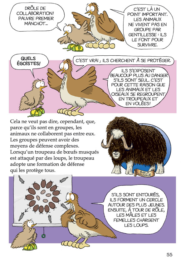 Pas bête du tout! Page 55